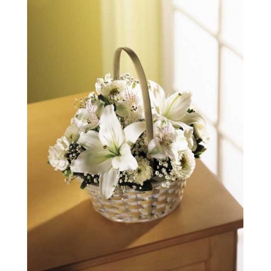 The Divinity Basket